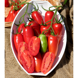 Томат Фляшен Pozano (Фляшен Позано), 10 шт