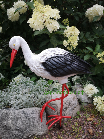 Аист 70*34 см  0,8кг   полистоун Россия 1548/012654 Аист - является символом новой жизни. Согласно русским народным поверьям, аист - птица, приносящая счастье в Ваш дом. Также аист покровительствует рождению детей.