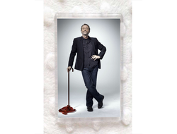 Магнит Доктор Хаус №9