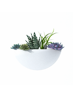 растительная стена Кашпо настенное лофт 2 маленькое