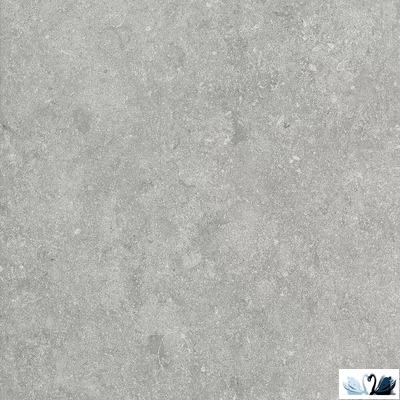 Керамогранит Alpas Euro Outdoor Fossil Gris 2 cм 60x60 см