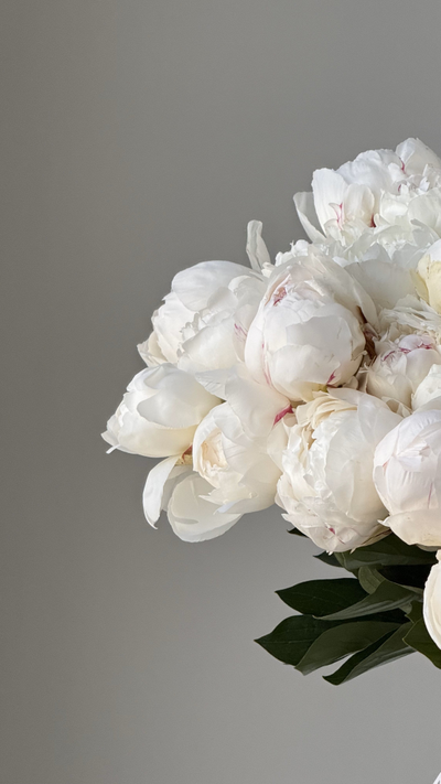 Моно букет цветов № 543