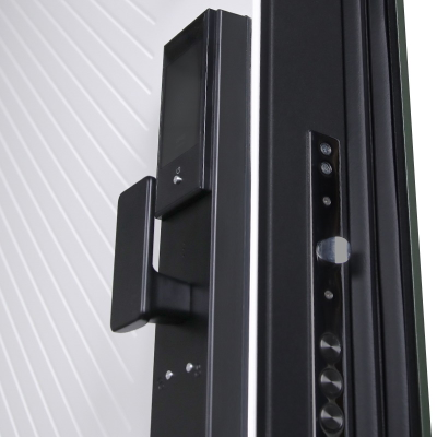 Стальная дверь   Лион (биометрический замок Smart lock DZ 888). Заказная модель.