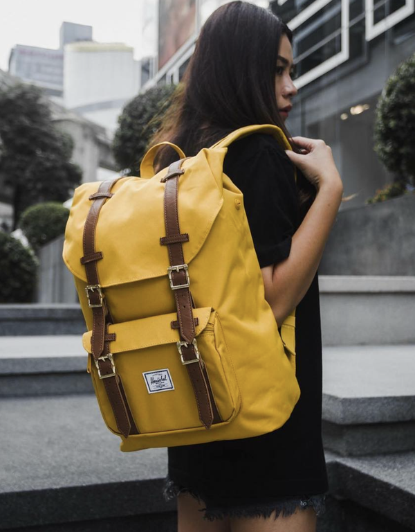 Herschel little america arrowwood hotsell
