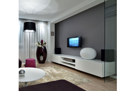 Гостиная , 2400 мм. Материал фасадов ЛДСП. Срок изготовления 15 рабочих дней. Цена на момент заказа 20500 руб.