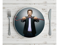 Тарелка Доктор Хаус №22