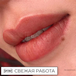 Губы. Старый замок Анны Куцеволовой - pm-shop24.ru