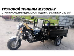 Купить Грузовой трицикл  WM250ZH-2