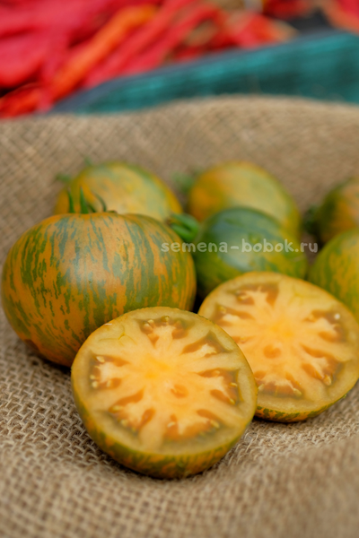 Томат Babylons Glow (Гном Сияние Вавилона), 10 шт