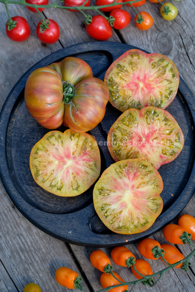 Томат Ярсон 7/1 (Jarson 7/1), 10 шт