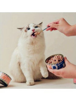 Влажные корма