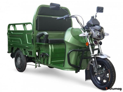 Грузовой электротрицикл Rutrike Вояж К1 1200 60V800W зеленый