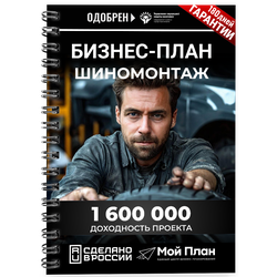 Бизнес-план для социального контракта в 2022 г. Ниша: Услуги шиномонтажа. Форма: ИП.