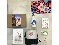 Бокс год Кролика №2