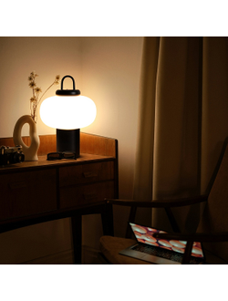 Freya, Настольный светильник Take, FR6175TL-L10B