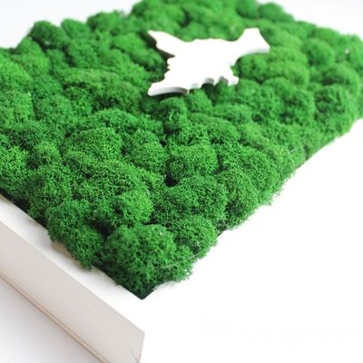 ЖИВАЯ ЭКО-КАРТИНА 1032