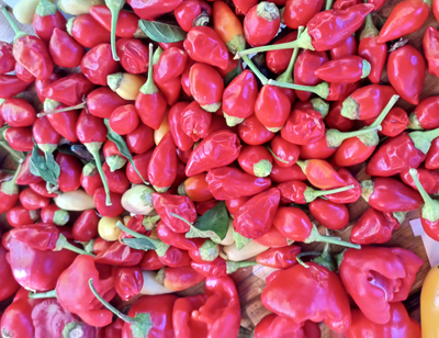 Перец острый Barra do Ribeiro