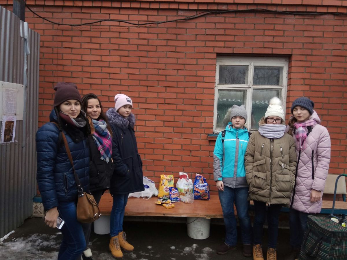 СПАСИБО ВОЛОНТЕРАМ ЗА ПОМОЩЬ ЖИВОТНЫМ