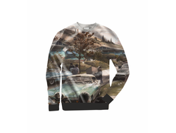 Свитшот Fallout, Фоллаут №6