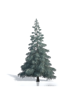 Billboards Ель летняя_15