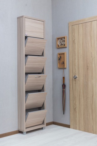 Обувница Айрон-5 Твикс (фасад ЛДСП)