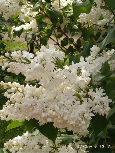 Советская Арктика