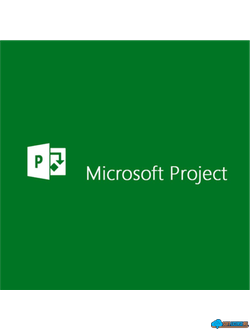 MS Project
