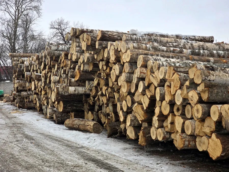 Заготовка сырья для производства
