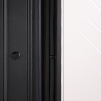 Стальная дверь   Бастион  (адаптивная замковая часть). Заказная