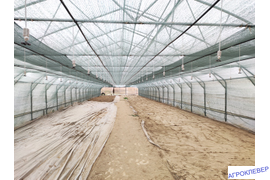 теплица 10х50 туман НД для черенкования