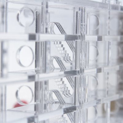 Комплект формикарий 4ants Crystal XL 3.0  с муравьями Messor Structor