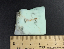 Хризопраз, коллекционный образец, срез, Австралия (39*35*4 мм, 11 г) №23748