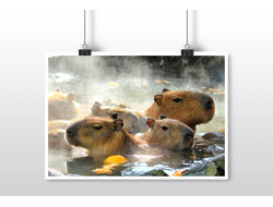 Плакат горизонтальный Капибара, Kapibara-san №17