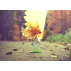 D0127 Кленовые листочки