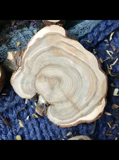 можжевельник, панели для бани, отделка бани, панели для бани, можжевельник в парной, сауна, дерево