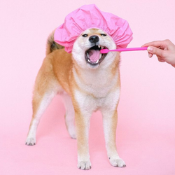 Средства гигиены