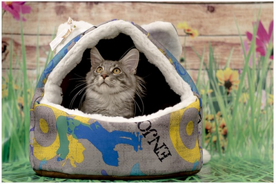 ДОМ “ПУШОК”