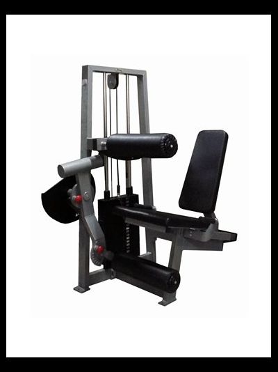 Сгибание-разгибание ног сидя 2 в 1 100 кг AV216/80