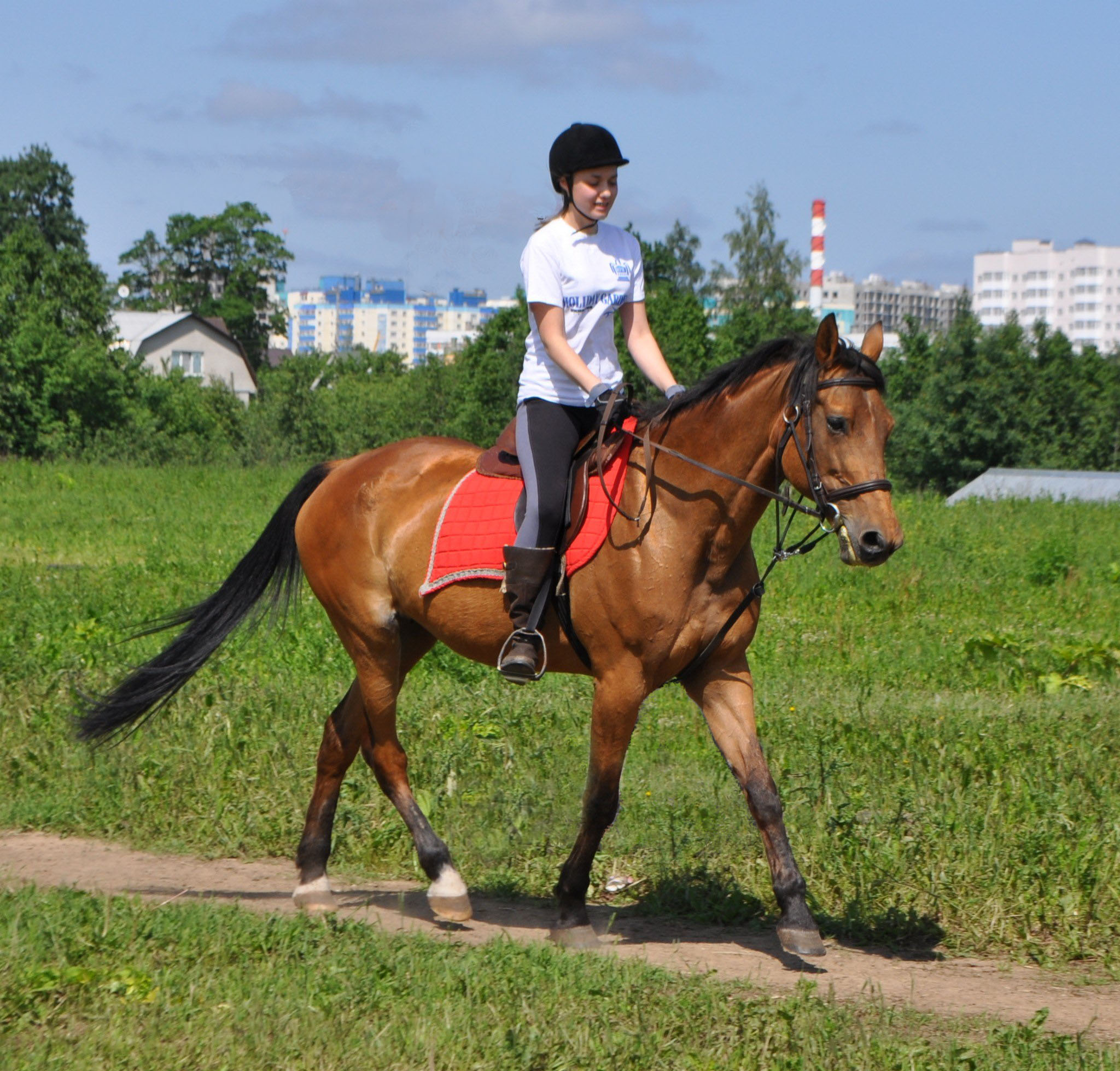 Верховая езда недорого