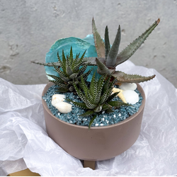 Голубая ракушка