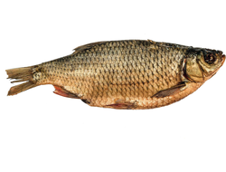 Красноперка вяленая