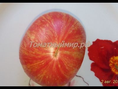 Томат Гном Жар-птица сладкая (Dwarf Firebird sweet)