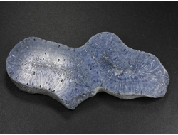 Коралл голубой Акори, Австралия (76*40*10 мм, 37 г) №37707