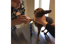 Терапевтический прием