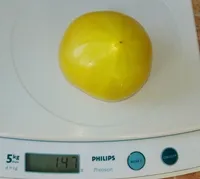 Зеленая буденовка