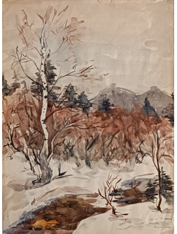"Юкки" бумага акварель Самойлова Т.С. 1957 год