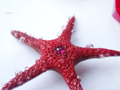 Морская брошь "Звезда ундины"