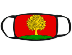 Маска защитная тканевая для лица Липецкая Область