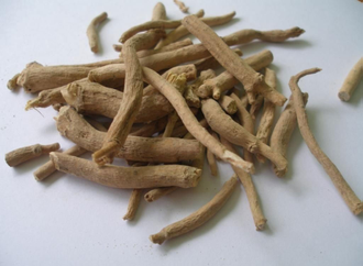 Силена Капенсис, Silene Capensis, Африканский корень сновидений ...