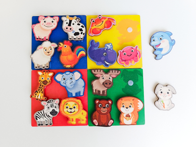 Сортер "Изучаем животных"